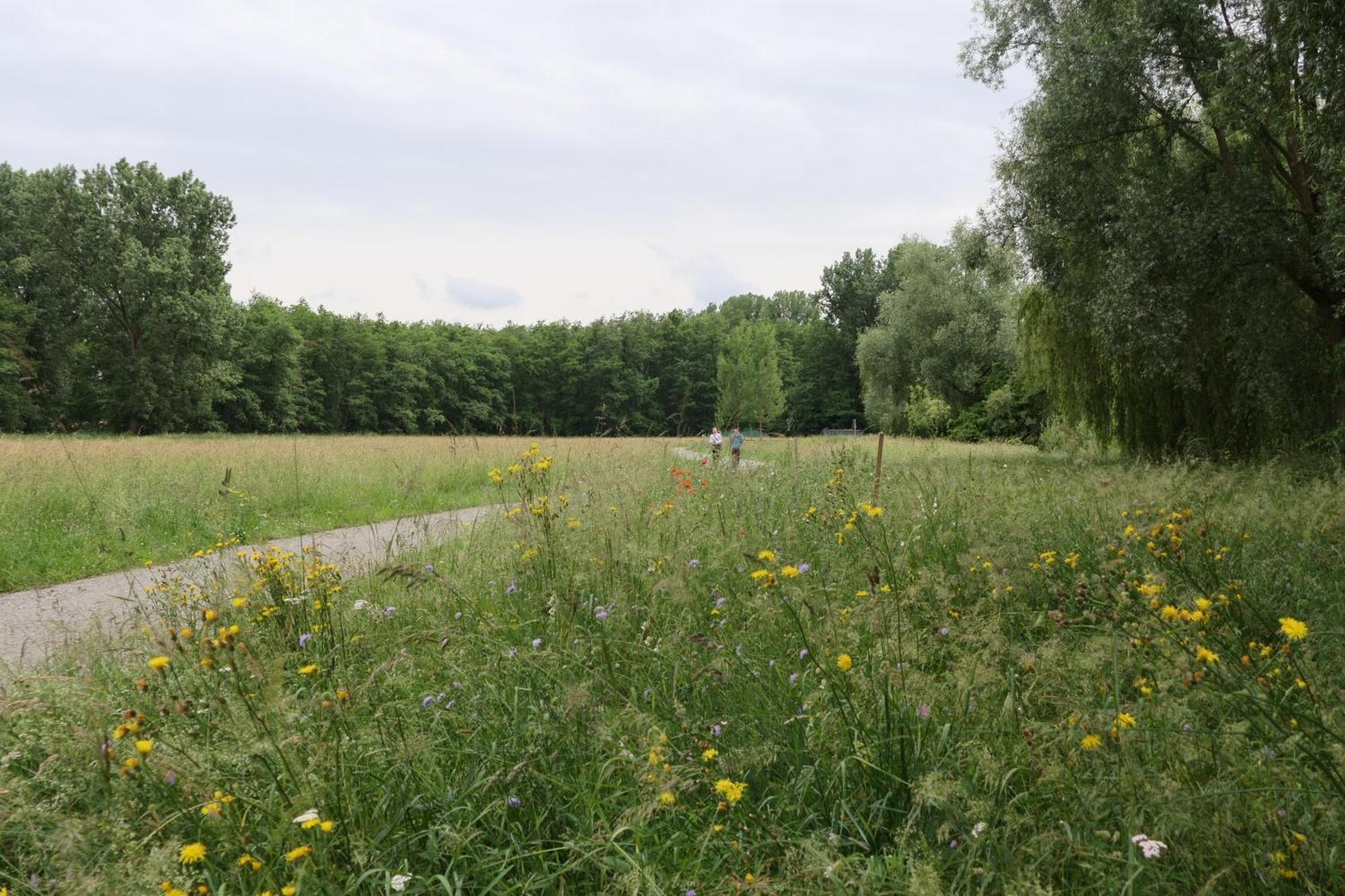Ferienwohnung, 2 Zimmer, 4 Bis 6 Personen, 67 Qm, Mit Grossem Balkon, Entlang Am Fluss, An Der Aach, Am Bodensee, Nah Am Naturschutzgebiet